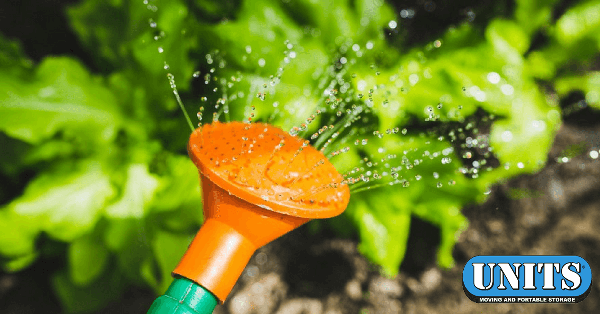 Vegetable Garden Design Tips